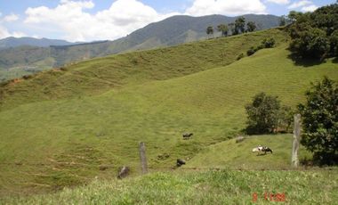 FINCA EN VENTA, SAN ANTONIO DE PRADO VEREDA LA VERDE