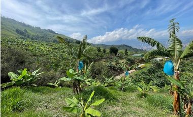 FINCA EN VENTA, SAN ANTONIO DE PRADO VEREDA LA VERDE