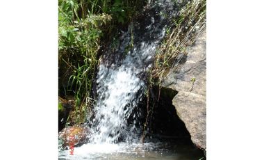 FINCA EN VENTA, SAN ANTONIO DE PRADO VEREDA LA VERDE