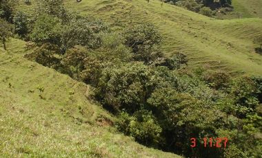 FINCA EN VENTA, SAN ANTONIO DE PRADO VEREDA LA VERDE