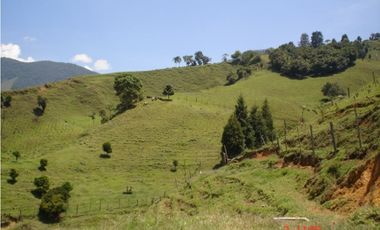 FINCA EN VENTA, SAN ANTONIO DE PRADO VEREDA LA VERDE