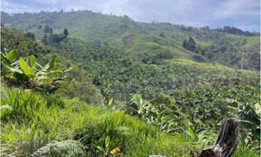 FINCA EN VENTA, SAN ANTONIO DE PRADO VEREDA LA VERDE