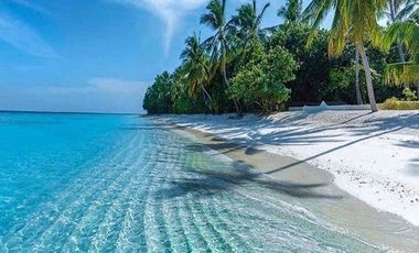 EN VENTA DEPARTAMENTO EN MAHAHUAL DE 1 HABITACION CON ALBERCA Y YOGA