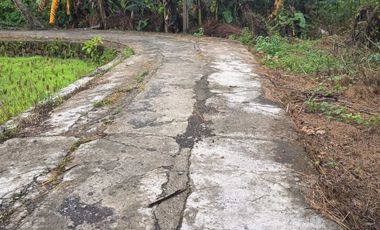 JUAL TANAH DI KULWARU WATES KULONPROGO VIEW SAWAH