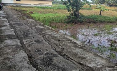 JUAL TANAH DI KULWARU WATES KULONPROGO VIEW SAWAH