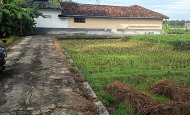 JUAL TANAH DI KULWARU WATES KULONPROGO VIEW SAWAH