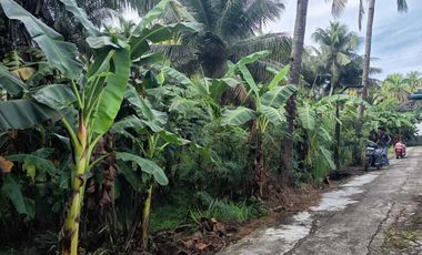 JUAL TANAH DI KULWARU WATES KULONPROGO VIEW SAWAH