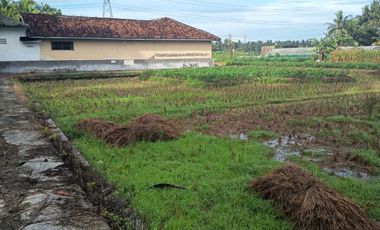 JUAL TANAH DI KULWARU WATES KULONPROGO VIEW SAWAH