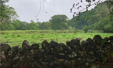 Vendo Finca en Tinajas de Dolega