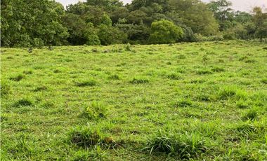 Vendo Finca en Tinajas de Dolega