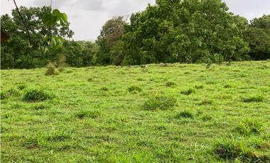 Vendo Finca en Tinajas de Dolega
