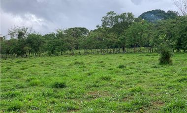 Vendo Finca en Tinajas de Dolega