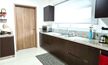 Se vende casa PH Altos del Parque, Altos de Panamá (YM)