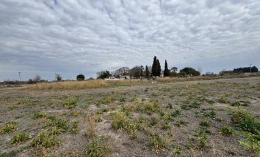 VENTA - CAMPO SOBRE RUTA EN SEGUI