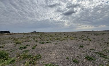 VENTA - CAMPO SOBRE RUTA EN SEGUI