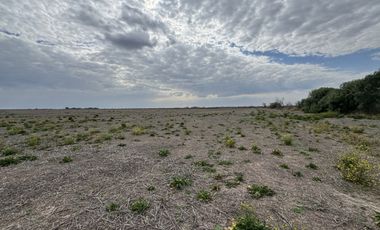 VENTA - CAMPO SOBRE RUTA EN SEGUI
