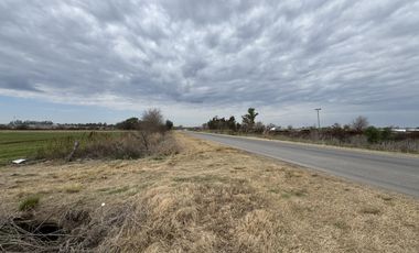 VENTA - CAMPO SOBRE RUTA EN SEGUI
