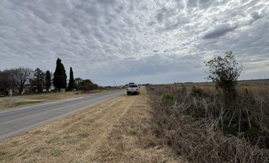 VENTA - CAMPO SOBRE RUTA EN SEGUI
