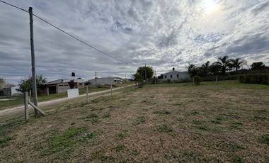 VENTA - TERRENOS EN ALVEAR
