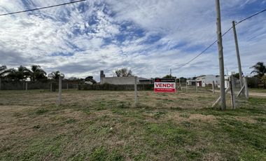 VENTA - TERRENOS EN ALVEAR