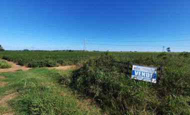 Campo agricola de 15 hectareas en Theobald (Santa Fe)