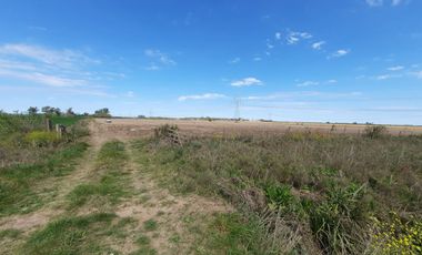 Campo agricola de 15 hectareas en Theobald (Santa Fe)