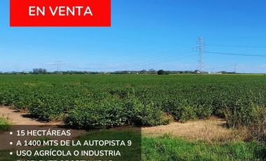Campo agricola de 15 hectareas en Theobald (Santa Fe)