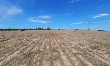 Campo agricola de 15 hectareas en Theobald (Santa Fe)