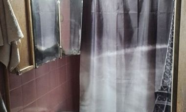 Casa de 4 dormitorios en Strauss 141