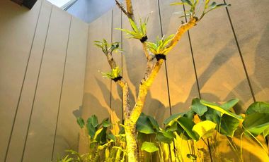 dijual rumah di sleman full furnish dekat jogjabay wedomartani