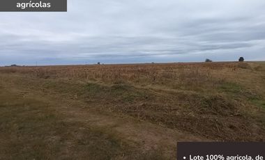 Campo agricola de 18 hectareas en Pavon (Santa Fe)