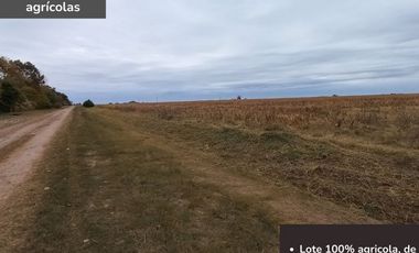 Campo agricola de 18 hectareas en Pavon (Santa Fe)