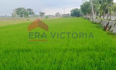 Tanah Poros Jalan Raya Sukomoro Nganjuk Akses Surabaya Madiun