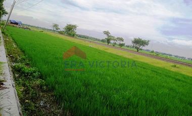 Tanah Poros Jalan Raya Sukomoro Nganjuk Akses Surabaya Madiun