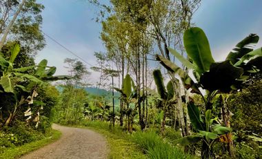 Dijual Murah Tanah Kebun dan Sawah Luas 4000 m2 di Cikalong Bandung