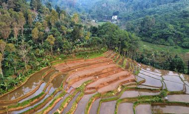 Dijual Murah Tanah Kebun dan Sawah Luas 4000 m2 di Cikalong Bandung