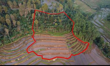 Dijual Murah Tanah Kebun dan Sawah Luas 4000 m2 di Cikalong Bandung