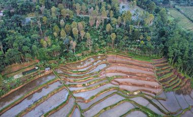 Dijual Murah Tanah Kebun dan Sawah Luas 4000 m2 di Cikalong Bandung
