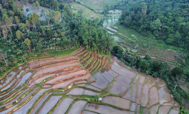 Dijual Murah Tanah Kebun dan Sawah Luas 4000 m2 di Cikalong Bandung