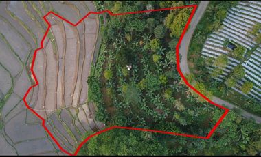 Dijual Murah Tanah Kebun dan Sawah Luas 4000 m2 di Cikalong Bandung
