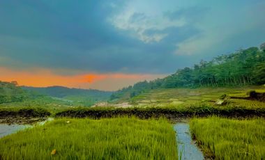 Dijual Murah Tanah Kebun dan Sawah Luas 4000 m2 di Cikalong Bandung