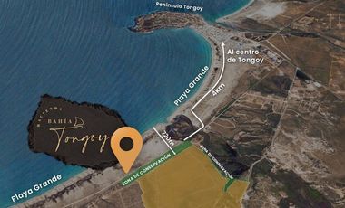 Parcela en Venta en TONGOY LOTE 32B