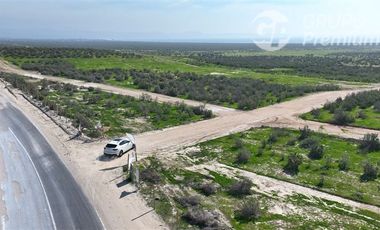 Parcela en Venta en TONGOY LOTE 32B