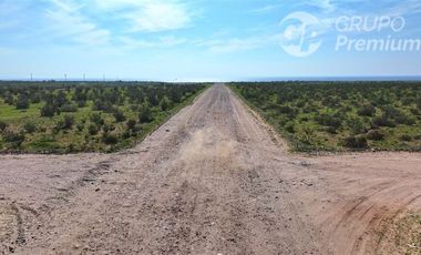 Parcela en Venta en TONGOY LOTE 32B