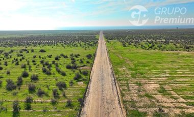 Parcela en Venta en TONGOY LOTE 32B