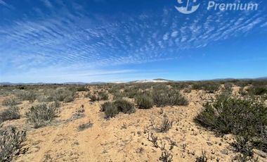 Parcela en Venta en TONGOY LOTE 32B
