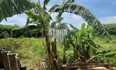 Tanah Murah 9000 m² Nempel Perumahan Grand Galaxy Bekasi