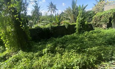 Jual gudang tabanan dekat bypass kediri