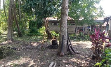 Rumah luas Strategis Pinggir jl lintas sumatera, kubung, solok