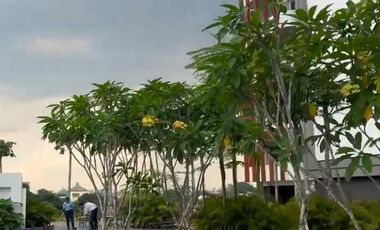 Jual Cepat Apartemen Antasari Place Studio di Cilandak - Pasar Minggu